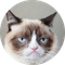 grumpycat