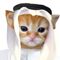 Habibi (HABIBI)