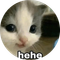 hehe (Sol) (hehe)