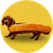Hot Doge (HOTDOGE)