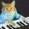 Keyboard Cat (KEYCAT)