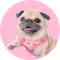 loulou (LOULOU)