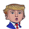 Mini Donald (BARRON)