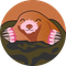 Molly (Eth) (MOLLY)