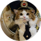 Neuracat (NCAT)