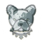 Pitbull (PIT)