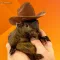 Pnut the Squirrel (Pnut)