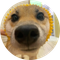 Pochita (POCHITA)