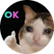 Purrfectly Okay Coin (POK)