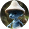 Real Smurf Cat