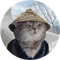 Samurai Cat (YUKI)