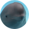 Smiling Dolphin (MIHARU)