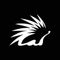 Spiko icon