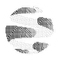 Taoshi