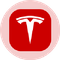 Tesla (Ondo Tokenized)