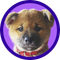 Toku (Eth) (TOKU)