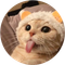 Tongue Cat (LUIS)