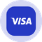 Visa Tokenized Stock (Ondo)