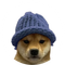 WIF on ETH (WIF)