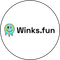 Winks.Fun icon