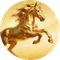 分红领头马 (Dividend Leader) (分红领头马)
