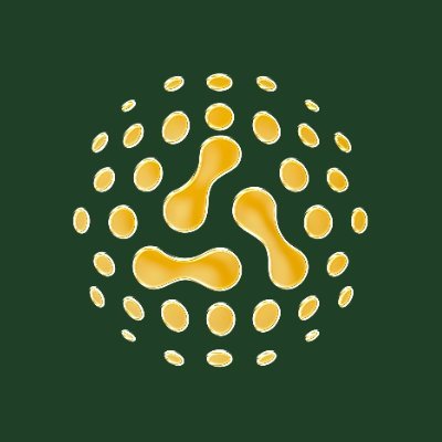 Aki Network