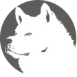 Akita DAO