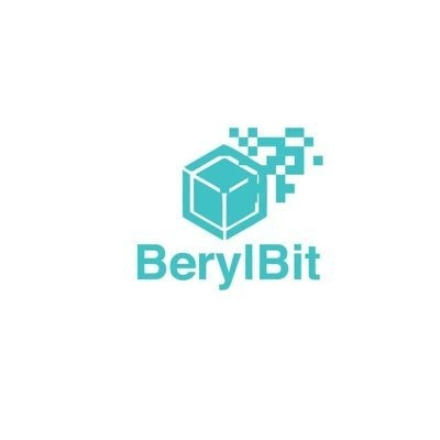 Berylbit Layer-3 Network (old)