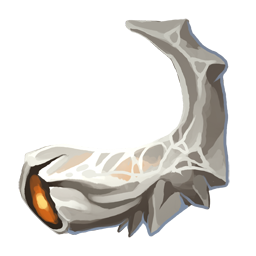 Bone Fragment