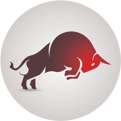 Bull Force Token
