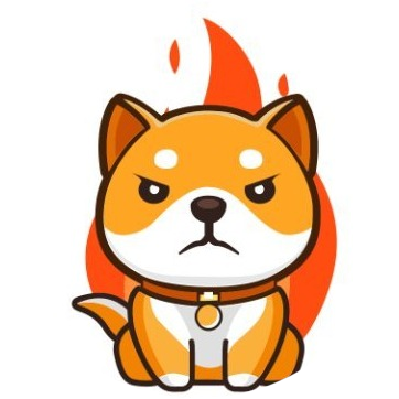BurnDoge