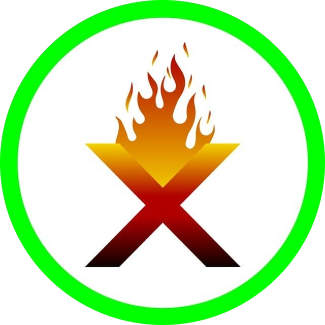 BurnX