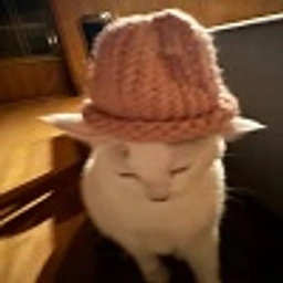 Chanel wif hat
