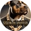 dawg