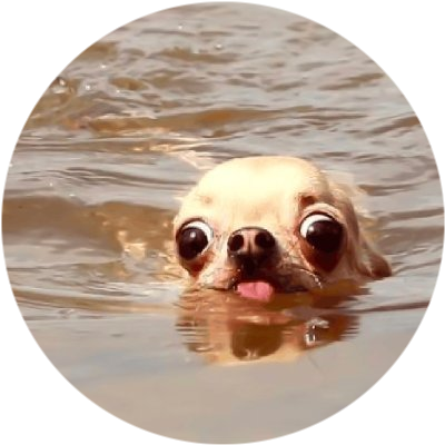 doginwotah