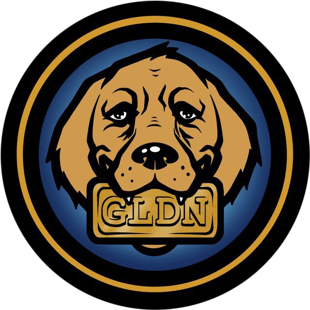 Gold Retriever