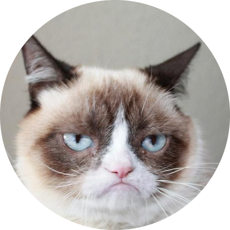 grumpycat