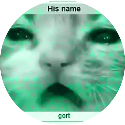 His name gort