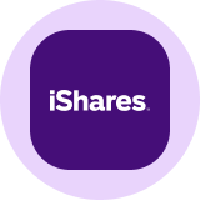 iShares Core S&P MidCap Tokenized ETF (Ondo)
