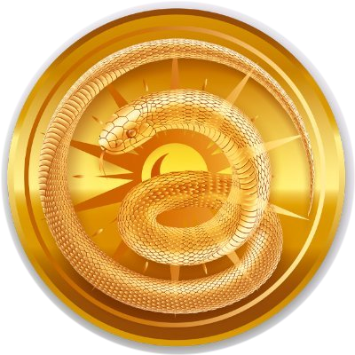 Lunar Snake Coin