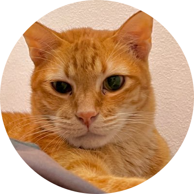 Mack the Meowing Cat
