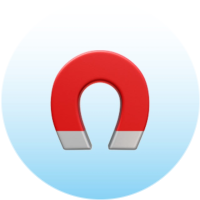 Magnet