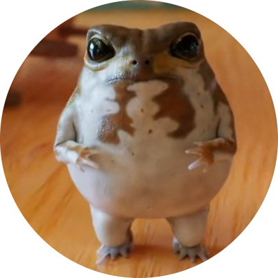 No1 tiktok frog (Omochi)