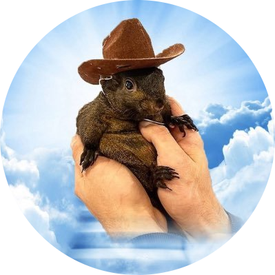 Peanut #1 Tiktok Squirrel
