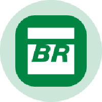 Petrobras Tokenized Stock (Ondo)