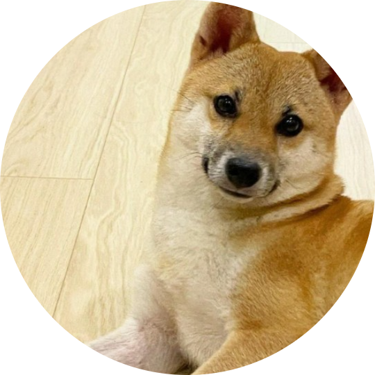 pochita