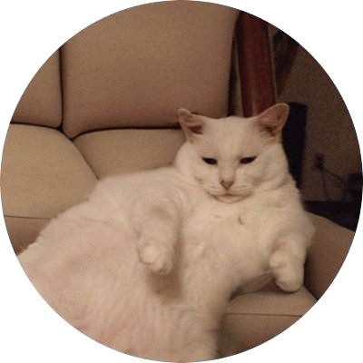 SofaCat