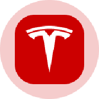 Tesla (Ondo Tokenized)