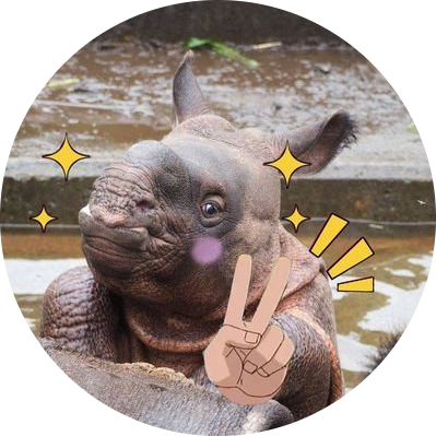 The Baby Rhino In Tama Zoo