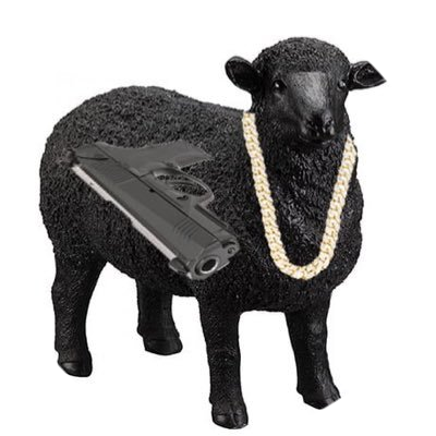 The black sheep